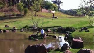 preview picture of video 'Waterkloof Park in PRETORIA'