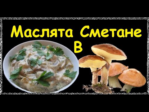 Маслята В Сметане / Книга Рецептов / Bon Appetit