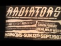 The Radiators from Space - Hawkins Dublin 13th.Sept 1987 Audio Only (2)