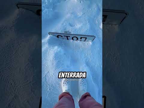 Ele anda acima dos carros 😳