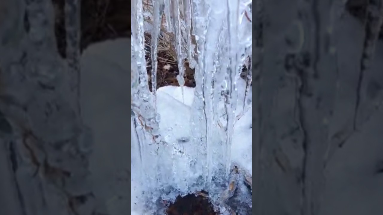 Icicles Dripping 💧 Waters Naturally #canada #shorts #ice #icicles #nature  #winter #frozen #weather