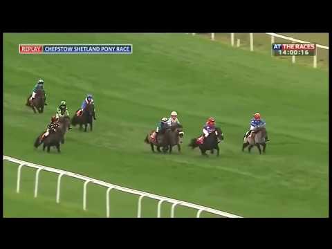 Shetland Pony Grand National