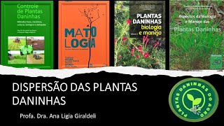 DISPERSÃO DAS PLANTAS DANINHAS
