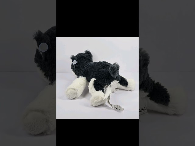 Vídeo relacionado con Uni-Toys Husky Tumbado - 40 cm (Longitud) - Perro de Peluche, Color Gris