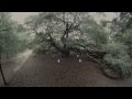 The Steeldrivers - Sticks that made Thunder