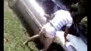 daniels super sexy dancing