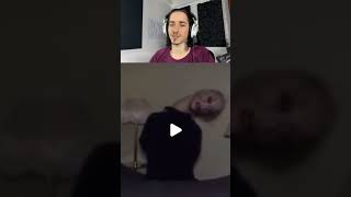 O que dá medo é a música