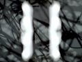 Birds Fly Backwards - Music Video