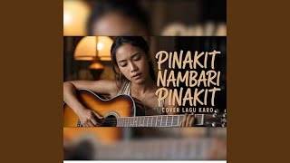 Download lagu PINAKIT NAMBARI PINAKIT mp3 Download lagu PINAKIT NAMBARI PINAKIT mp3