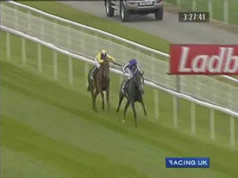 Sea The Stars: Juddmonte International Stakes (2009) | Racing TV