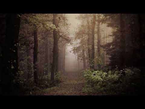 Nina Spirova, Si zaljubiv edno mome