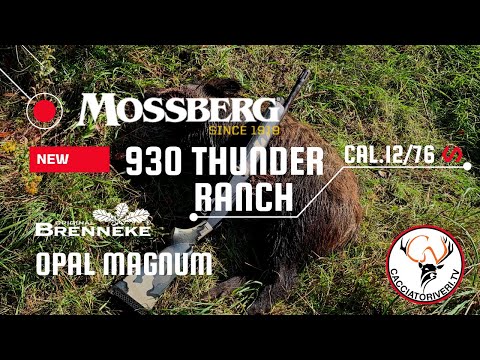 Brokovnice M930 Thunder Ranch, Mossberg