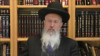 הגאון הרב אברהם יוסף שליט"א האם מברכים שהחיינו בבוקר על קריאת המגילה