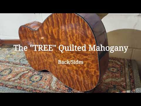"THE TREE" Mahogany Dillard OM Acoustic Guitar 2023 image 26