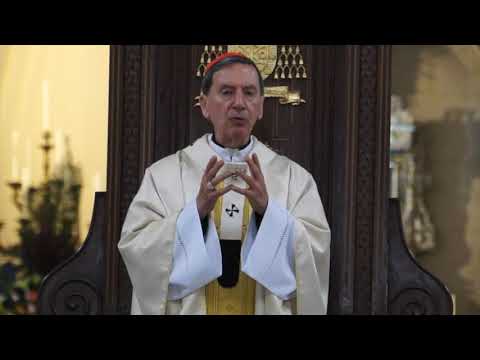 Homilía del Señor Cardenal en Misa Crismal