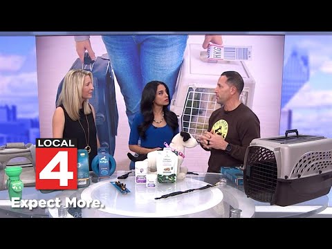 Traveling this holiday season? How to prepare your pets for the trip - YouTube