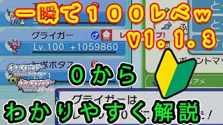 【ダイパリメイク】v1.1.3の3分で100レベルにする方法がヤバすぎたwwwwwww