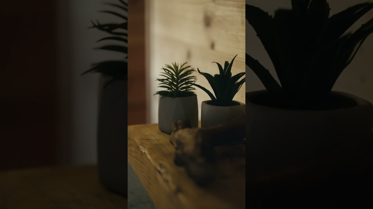 YouTube Shorts Preview