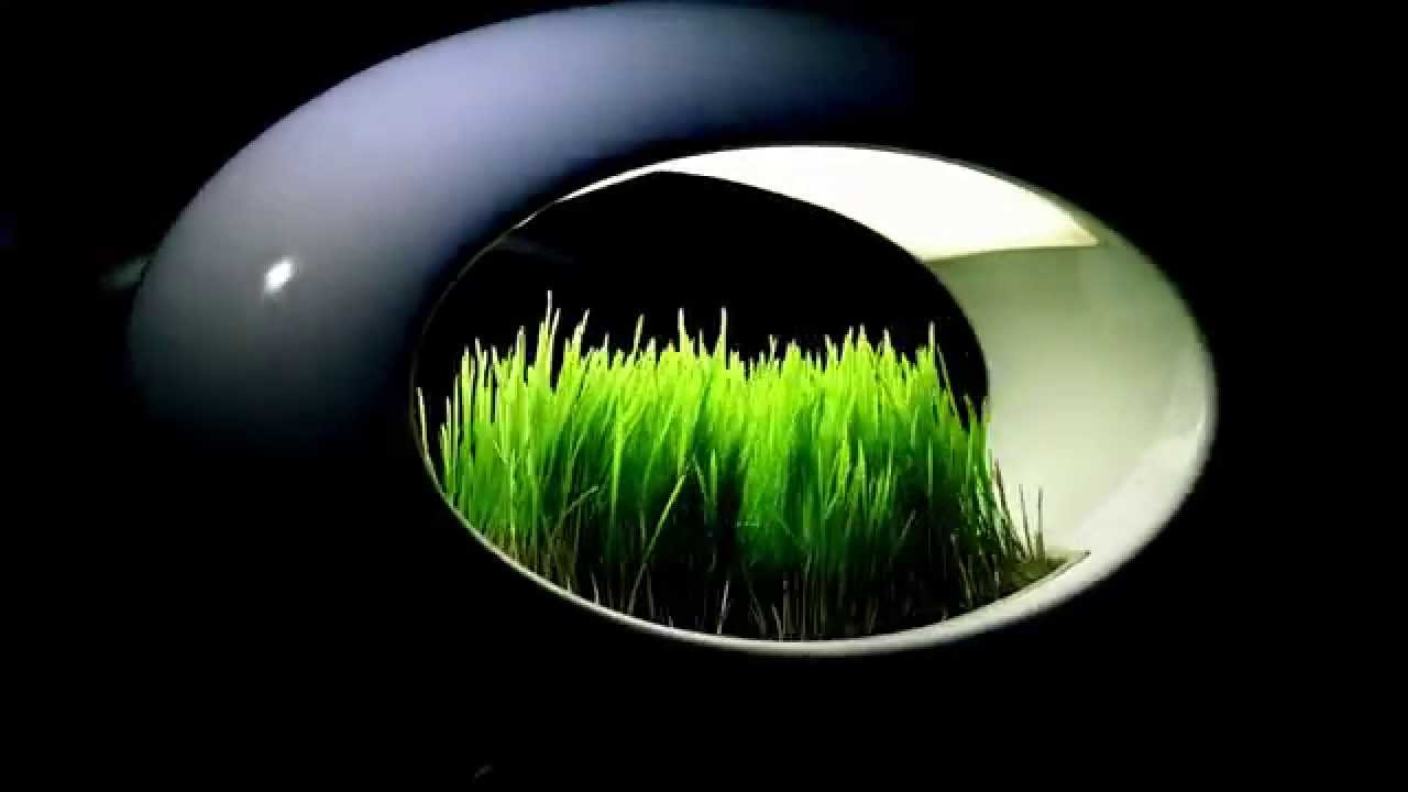 Grasslamp Desktop video thumbnail