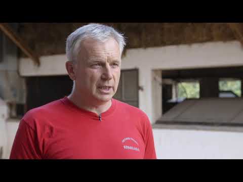 Domaćine kako radiš 24.09.2018. - Svinjarstvo, Bačko Gradište/Vrbovac