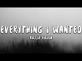 Billie Eilish everything i wanted Lyri