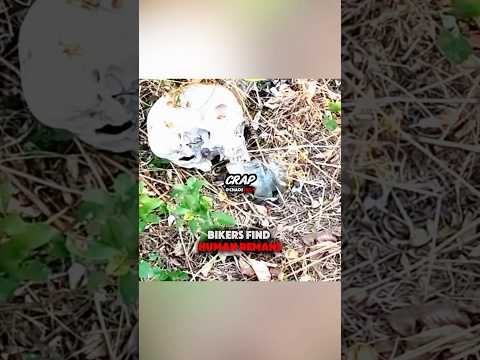 Bikers Find HUMAN REMAINS In The Woods 😳 Cred: ​⁠@paulsohard