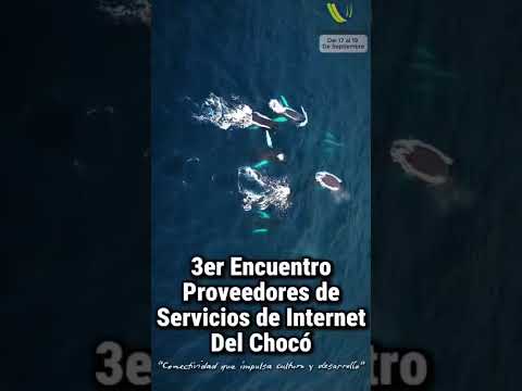 🌐✨ ¡El Chocó se conecta para crecer!