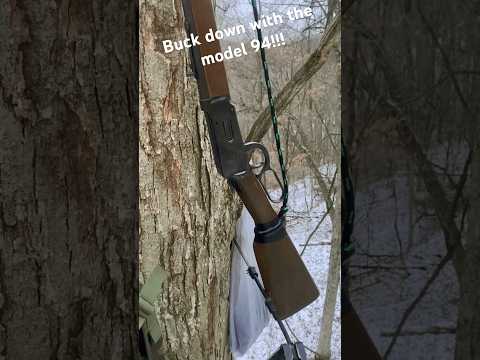 BUCK DOWN FROM MY SUMMIT CLIMBER | Winchester Model 94 30-30 | PA Deer Hunting | 12/8/2024