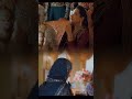 ANIMAL Bobby Deol Romance Animal Newmovie Shorts Animalnewmovie