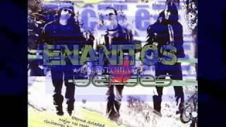 ENANITOS VERDES - LA NENA DE 17 AÑOS.wmv