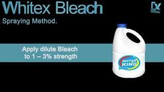 Whitex Bleach