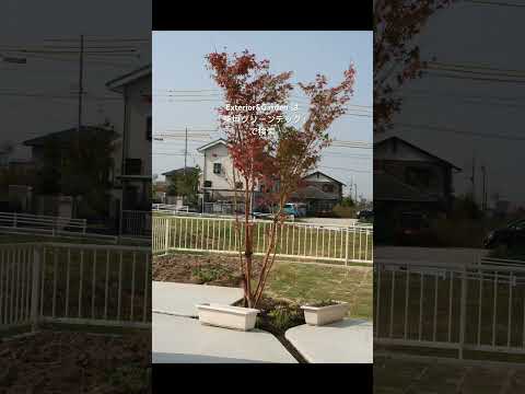 庭の小道の境界線を自分で決めるための磨かれたガラスの庭の小道の境界線のアイデア 