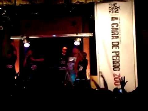 A CARA DE PERRO ZOO BUENOS AIRES APERTURA [AceDownloader.com].mp4