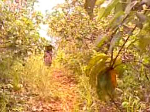 Radicais do Asfalto Bike Clube Quirinopolis vol.5-001.mp4