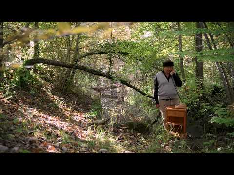 Matto Kämpf | Am Apparat #02