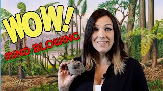 Our oldest find ever! Ancient relics with rattlesnake encounter! (PreHistoric)