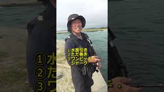 初心者でも簡単にできるジギングで超釣れるアクション
