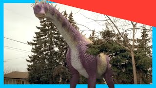 📸 Dino Memories 🦖 | Dino Dana Minisode | Dinosaur Adventure for Kids