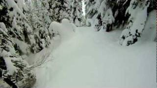 preview picture of video 'Grizzly Shoulder, Rogers Pass'