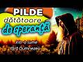 Stories With Meaning Christian Parables That Give Hope