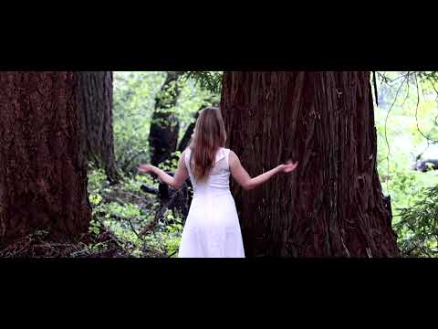 Promotional video thumbnail 3 for Light Temple Dance