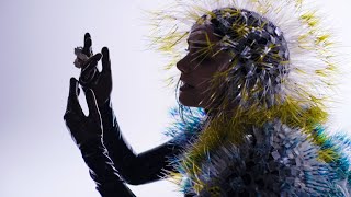 Björk - Lionsong [Surrounded]