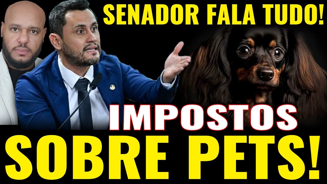 AO VIVO🚨🚨AGORA É LEI? | IMPOSTOS SOBRE GATOS E CACHORROS🚨DEIXA EU TE EXPLICAR!