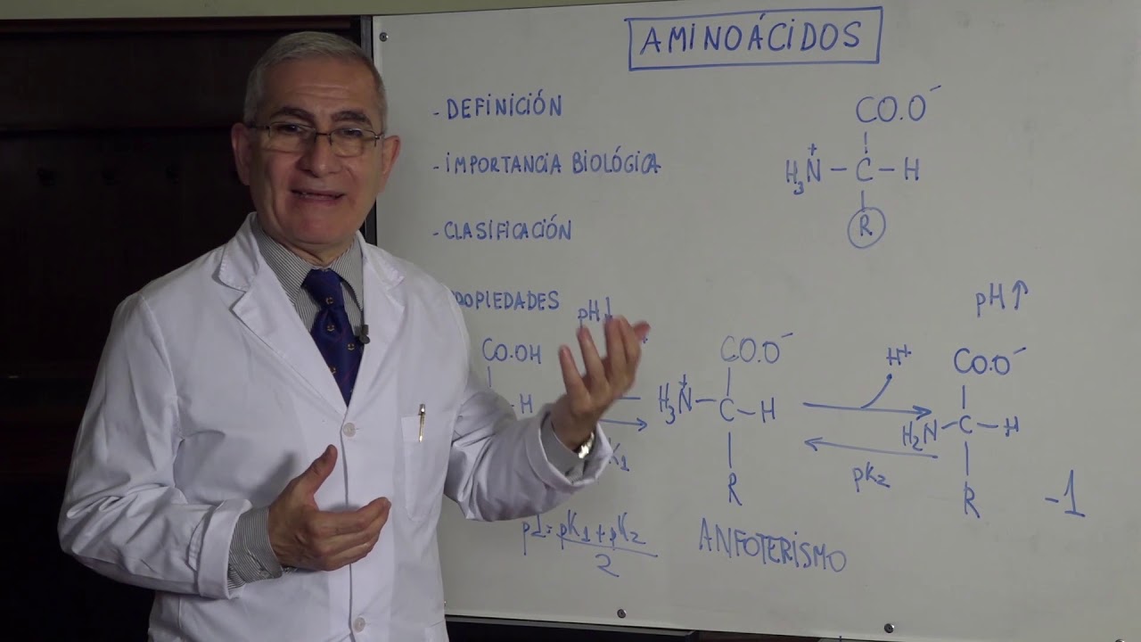 AMINOACIDOS