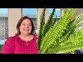 2PCS 45in Fake Ferns- Large Artificial Plants Outdoor, UV Resistant Artificial Ferns for Outdoors, 6