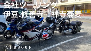 ２０２３年１０月 伊豆　修善寺　会社ツーリング　禅風亭七番さん　伊豆スカイライン　ＶＦＲ８００Ｆ　ハーレー　ＺＸ９Ｒ　BMW