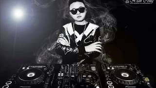 『DJ家群2015』  - 越南抖 (30首混合)
