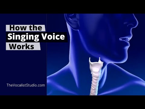 How the Singing Voice Works | Robert Lunte | The Vocalist Studio | Vocal Lessons