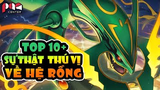 TOP 10+ Facts about Dragon Type Pokemon! Year of The Dragon! | PAG Center