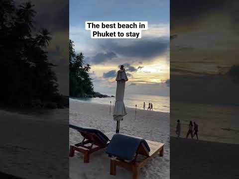 Shrine beach in Phuket is the best beach to stay nearby. #shorts #phuket #thailand